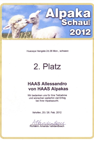 Alpakadeckhengst Haas Alessandro - Ilshofen 2012