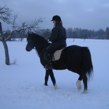 Ausritt im Schnee mit den Ponys der CV-Ponyfarm 01