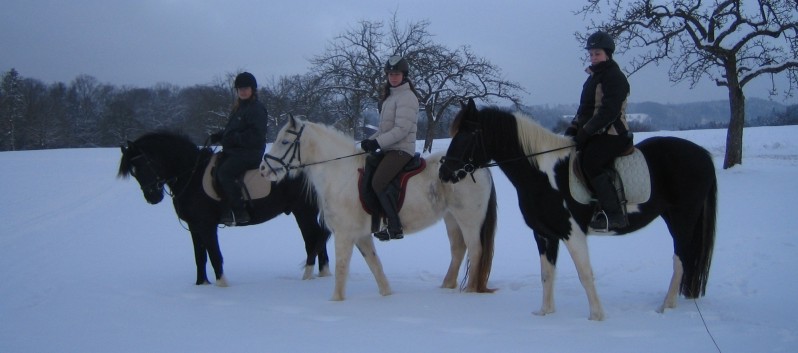 Ausritt im Schnee mit den Ponys der CV-Ponyfarm 02