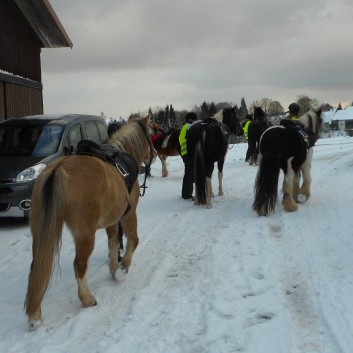 Ausritt im Schnee mit den Ponys der CV-Ponyfarm 04