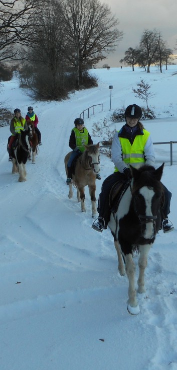 Ausritt im Schnee mit den Ponys der CV-Ponyfarm 05