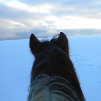 Ausritt im Schnee mit den Ponys der CV-Ponyfarm 06