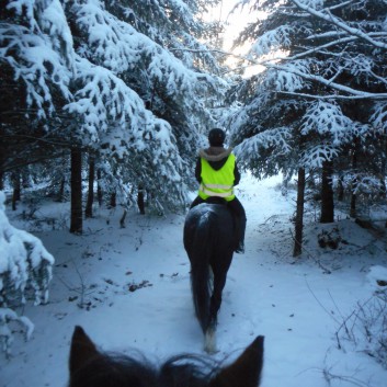 Ausritt im Schnee mit den Ponys der CV-Ponyfarm 08