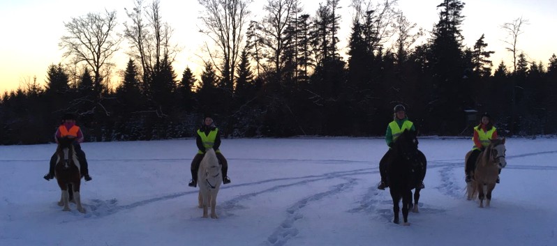 Ausritt im Schnee mit den Ponys der CV-Ponyfarm 10