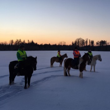Ausritt im Schnee mit den Ponys der CV-Ponyfarm 11