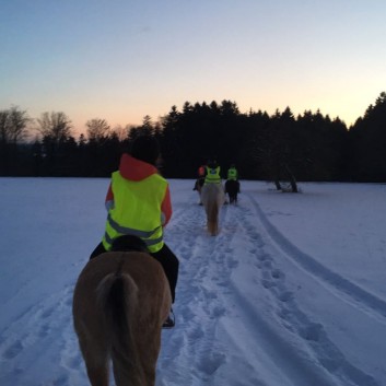 Ausritt im Schnee mit den Ponys der CV-Ponyfarm 12