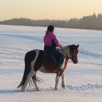 Ausritt im Schnee mit den Ponys der CV-Ponyfarm 13
