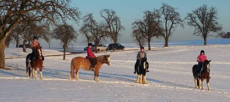 Ausritt im Schnee mit den Ponys der CV-Ponyfarm 14