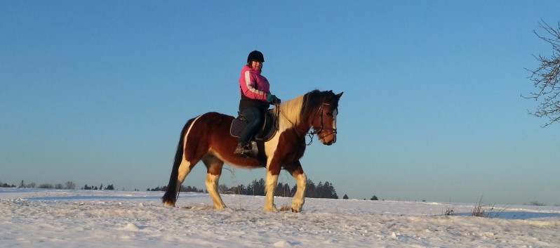Ausritt im Schnee mit den Ponys der CV-Ponyfarm 15