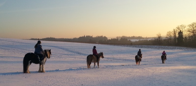 Ausritt im Schnee mit den Ponys der CV-Ponyfarm 16