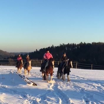 Ausritt im Schnee mit den Ponys der CV-Ponyfarm 18