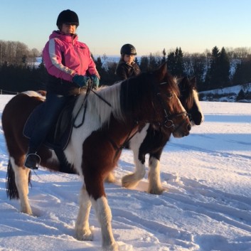 Ausritt im Schnee mit den Ponys der CV-Ponyfarm 19