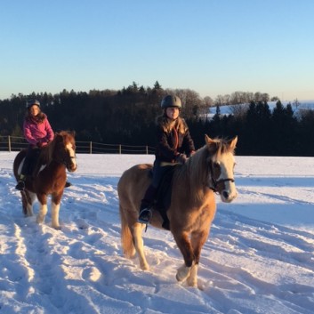 Ausritt im Schnee mit den Ponys der CV-Ponyfarm 20