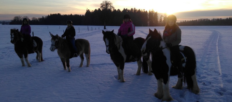 Ausritt im Schnee mit den Ponys der CV-Ponyfarm 22