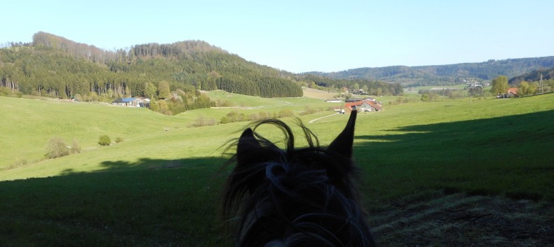 Ausritte mit den Ponys der CV Ponyfarm 01