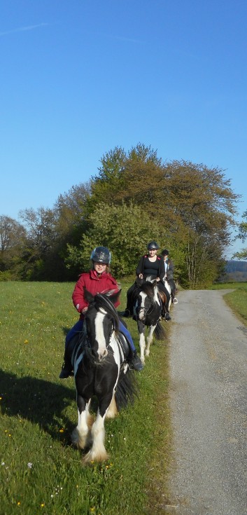 Ausritte mit den Ponys der CV Ponyfarm 02