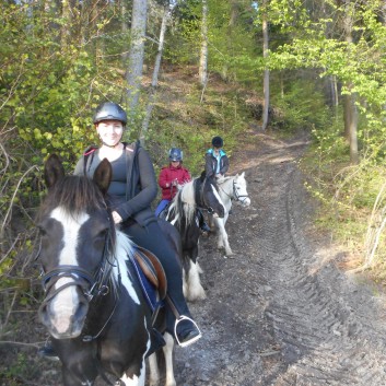 Ausritte mit den Ponys der CV Ponyfarm 05