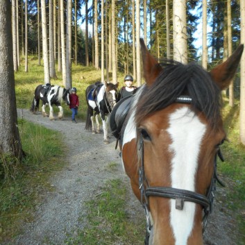 Ausritte mit den Ponys der CV Ponyfarm 06