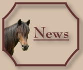 Button-News-CV-Ponyfarm