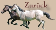 Button-Zurueck-CV-Ponyfarm
