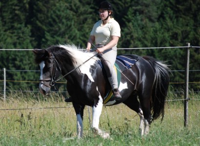 CV-Ponyfarm-Pony-und-Reiter-02