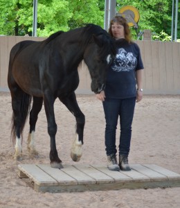 CV-Ponyfarm-Pony-und-Reiter-klein-08