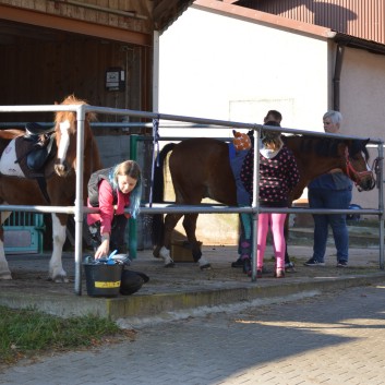 CV Ponyfarm - Erste Hoffest 2016 - 02