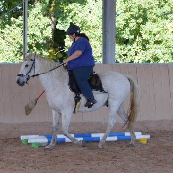 CV Ponyfarm - Erste Hoffest 2016 - 12