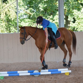 CV Ponyfarm - Erste Hoffest 2016 - 15