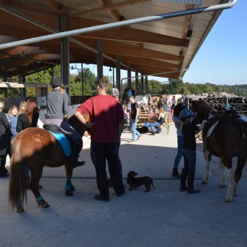 CV Ponyfarm - Erste Hoffest 2016 - 21