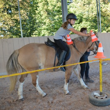 CV Ponyfarm - Erste Hoffest 2016 - 48