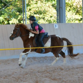 CV Ponyfarm - Erste Hoffest 2016 - 51