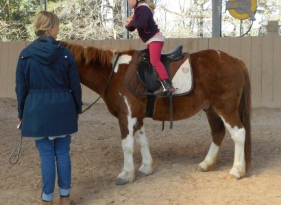 Centered Riding auf der CV Ponyfarm 07