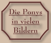 Die Ponys - CV-Ponyfarm