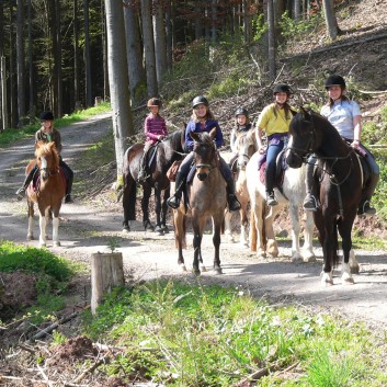 Die Ponys der CV-Ponyfarm auf Schatzsuche April 2011 - 26