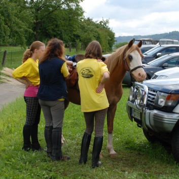 Die Ponys die CV-Ponyfarm in Steinbach 2011 - 02