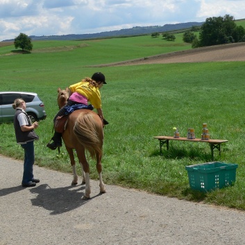 Die Ponys die CV-Ponyfarm in Steinbach 2011 - 10