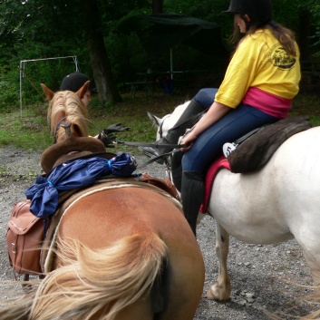 Die Ponys die CV-Ponyfarm in Steinbach 2011 - 15