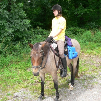Die Ponys die CV-Ponyfarm in Steinbach 2011 - 16
