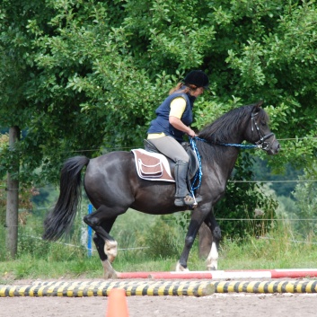 Die Ponys die CV-Ponyfarm in Steinbach 2011 - 56