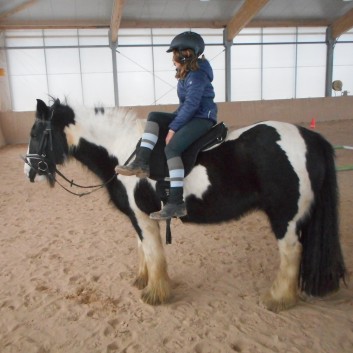 Dressur Reiten auf der CV-Ponyfarm 04