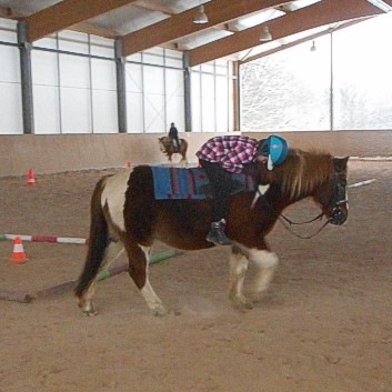 Dressur Reiten auf der CV-Ponyfarm 05