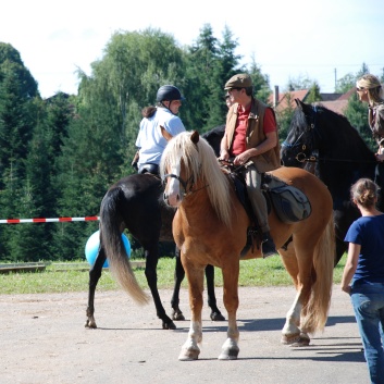 Gelaenderallye CV-Ponyfarm 2011-13
