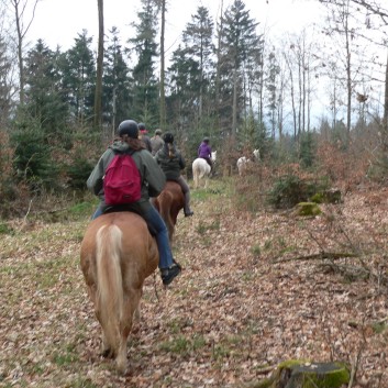 Hnsel und Gretelritt der CV-Ponyfarm 2013 - 17