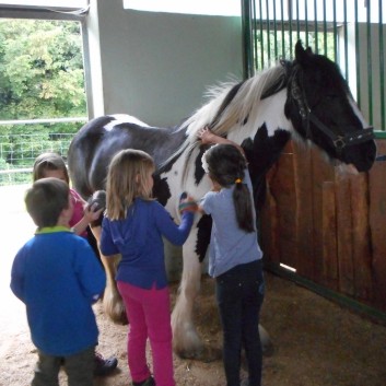 Kindergeburtstag mit Ponys auf der CV-Ponyfarm 01