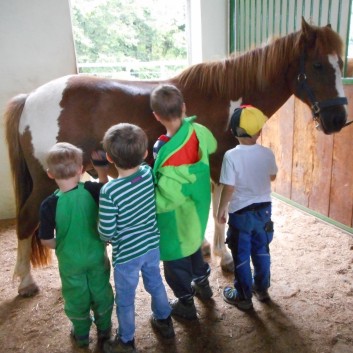 Kindergeburtstag mit Ponys auf der CV-Ponyfarm 02