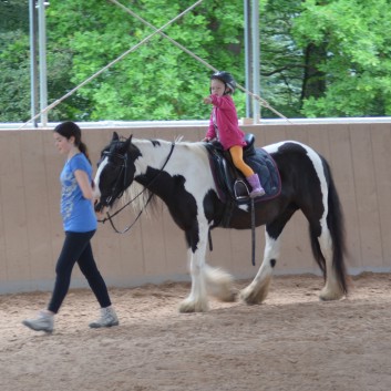 Kindergeburtstag mit Ponys auf der CV-Ponyfarm 05