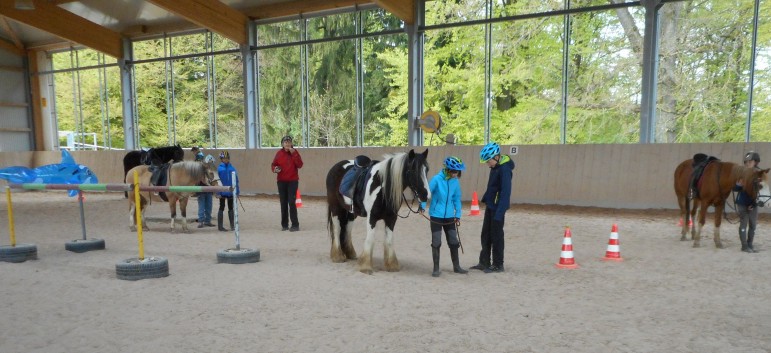 Kindergeburtstag mit Ponys auf der CV-Ponyfarm 06