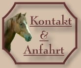 Kontakt - CV-Ponyfarm