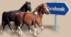 Logo-Facebook-CV-Ponyfarm-fertig 3